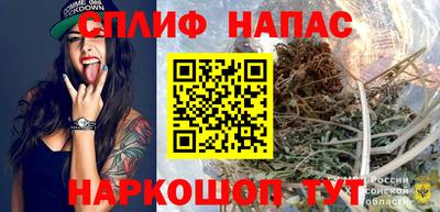 гидропоника Будённовск