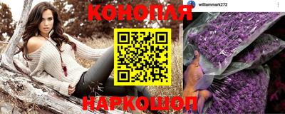 гидропоника Будённовск