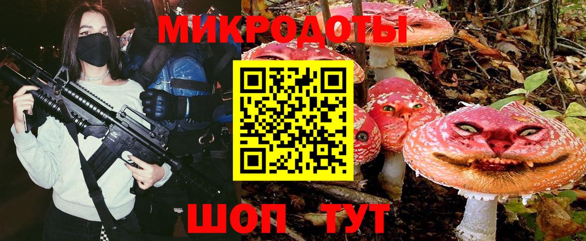 Псилоцибиновые грибы Psilocybine cubensis  Вход с VPN  Санкт-Петербург 