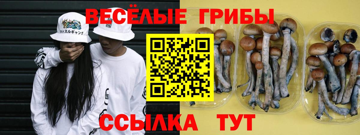 Галлюциногенные грибы прущие грибы Санкт-Петербург
