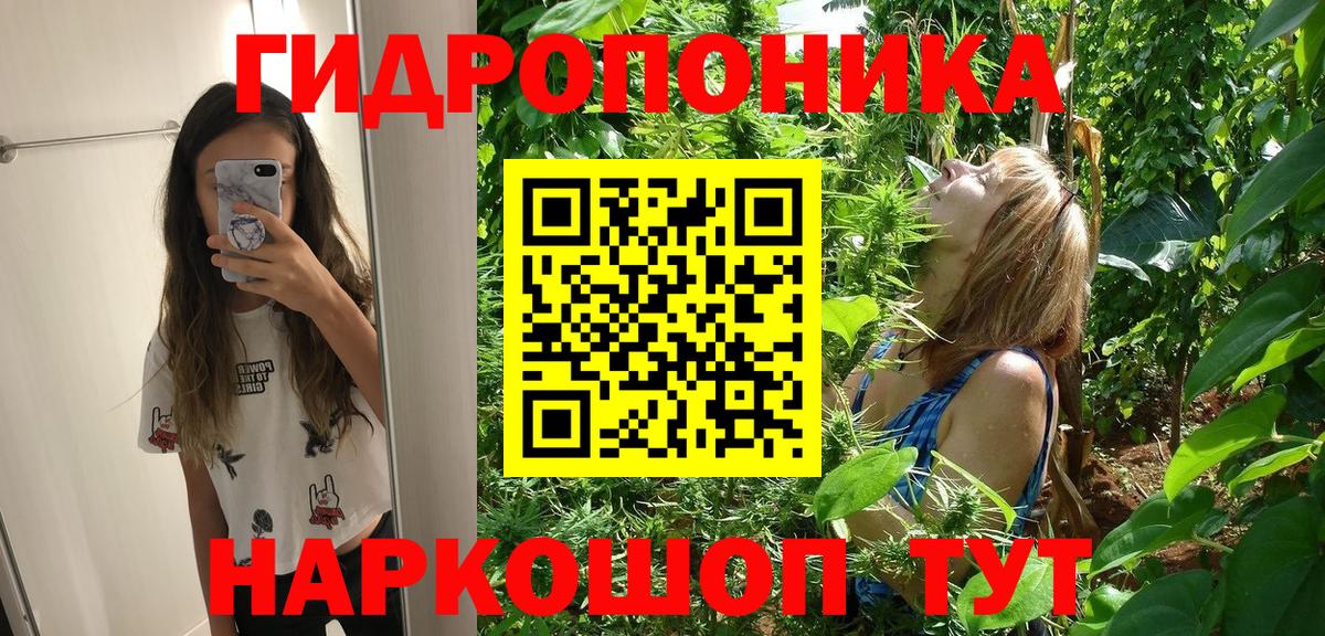 Бошки Шишки MAZAR Санкт-Петербург